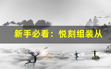 新手必看：悦刻组装从入门到精通
