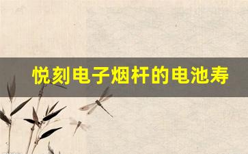 悦刻电子烟杆的电池寿命与充电效率