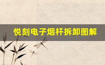 悦刻电子烟杆拆卸图解：从新手到高手