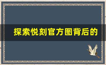 探索悦刻官方图背后的功能亮点