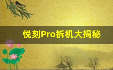 悦刻Pro拆机大揭秘，拆解步骤与技巧指南