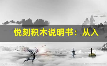 悦刻积木说明书：从入门到精通