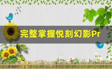 完整掌握悦刻幻影Pro使用技巧