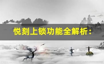 悦刻上锁功能全解析：从便捷到安全