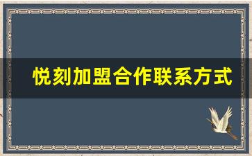 悦刻加盟合作联系方式大全